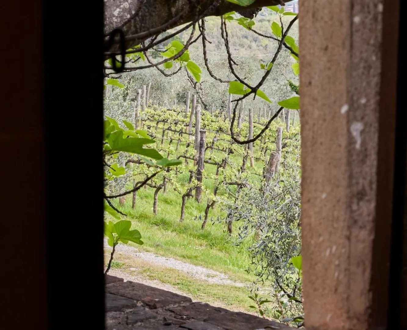 מלון Ponte A Bozzone Certosa Di Pontignano Residenza D'Epoca - Place Of Charme